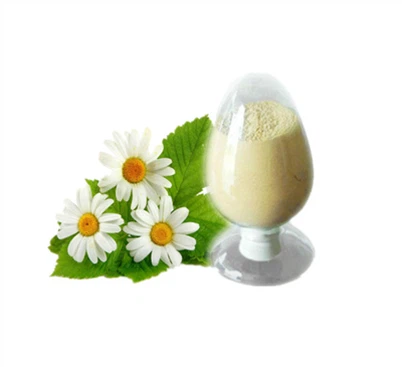 Εκχύλισμα χρυσάνθεμου Morifolium Ramat